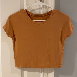 Zara Squash Cropped Top